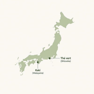 Carte du Japon avec les régions d'origine du kaki (Wakayama) et du thé vert (Shizuoka)